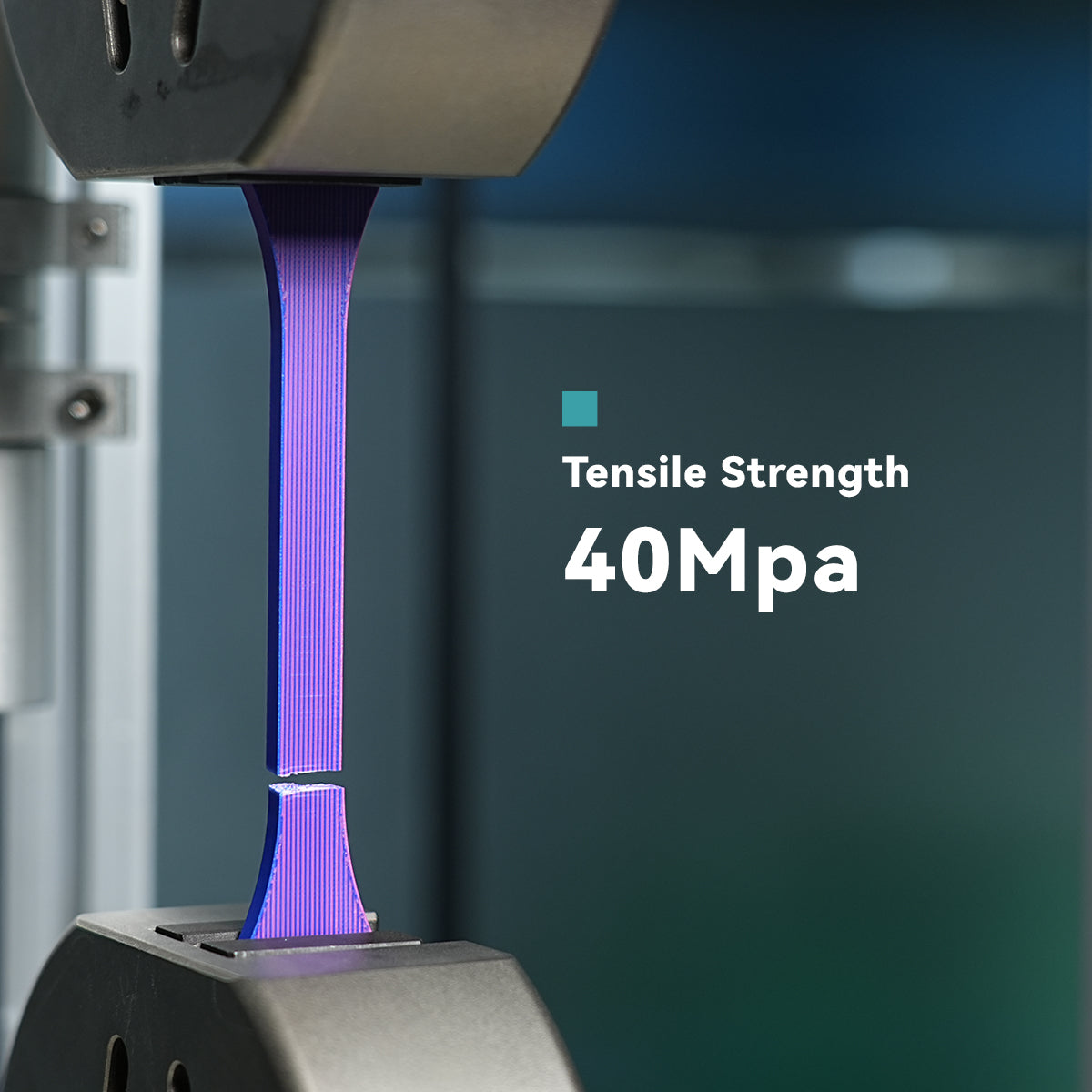 PLA Matte Dual-Color
