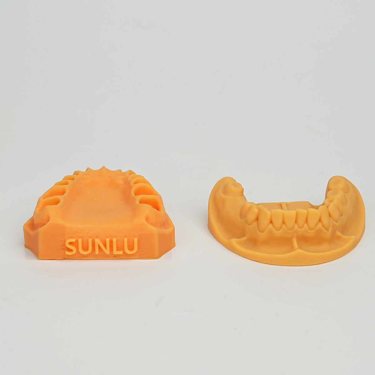Dental Implant Model Resin